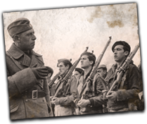 GFX_report_event_german_volunteers